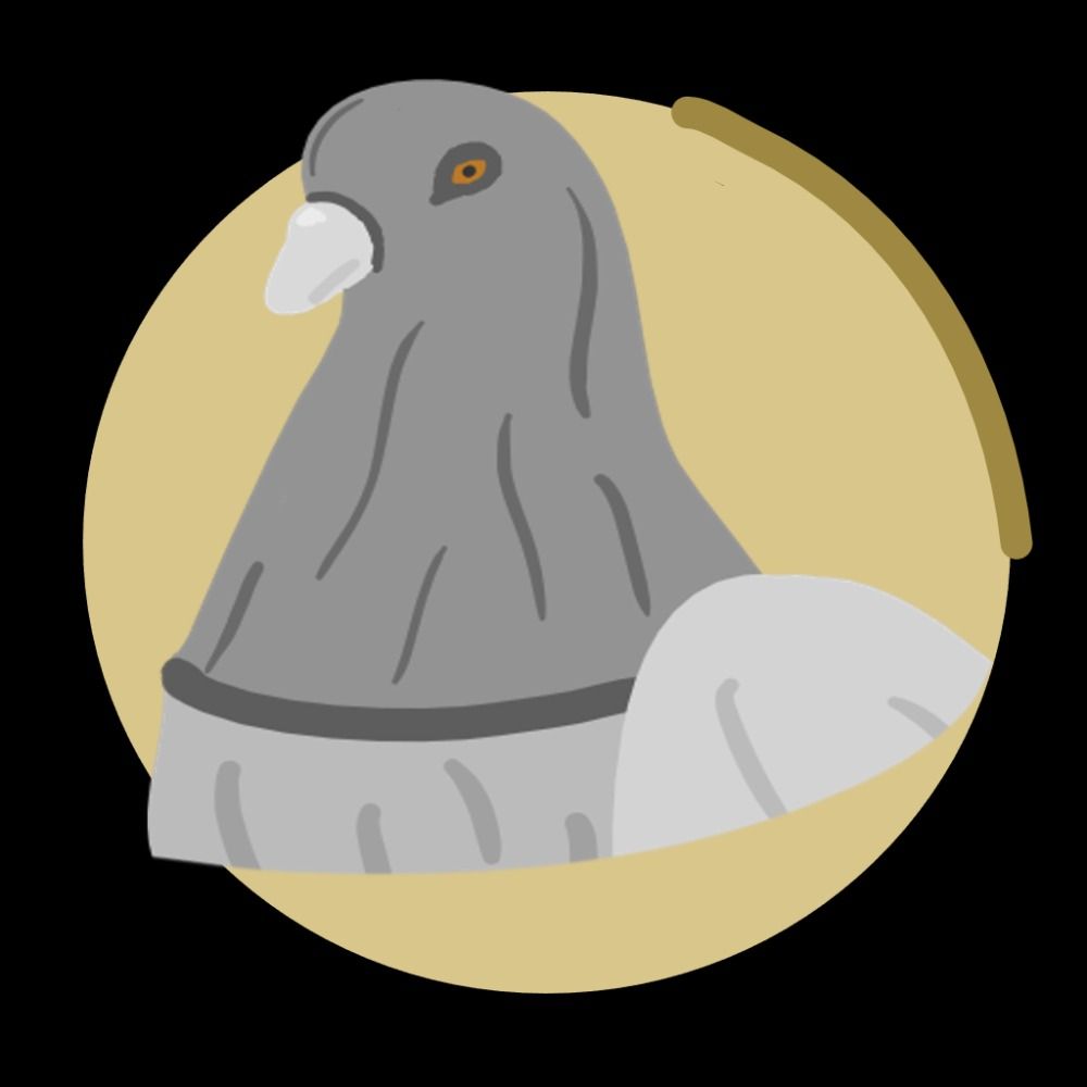 Pigeon 3D