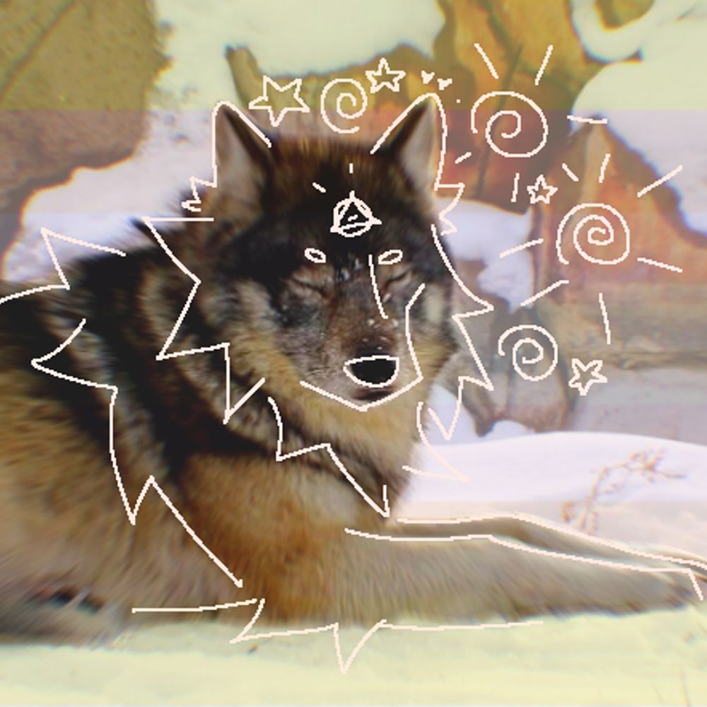 elias  -⃝⃤ 🐾✮✰꧂