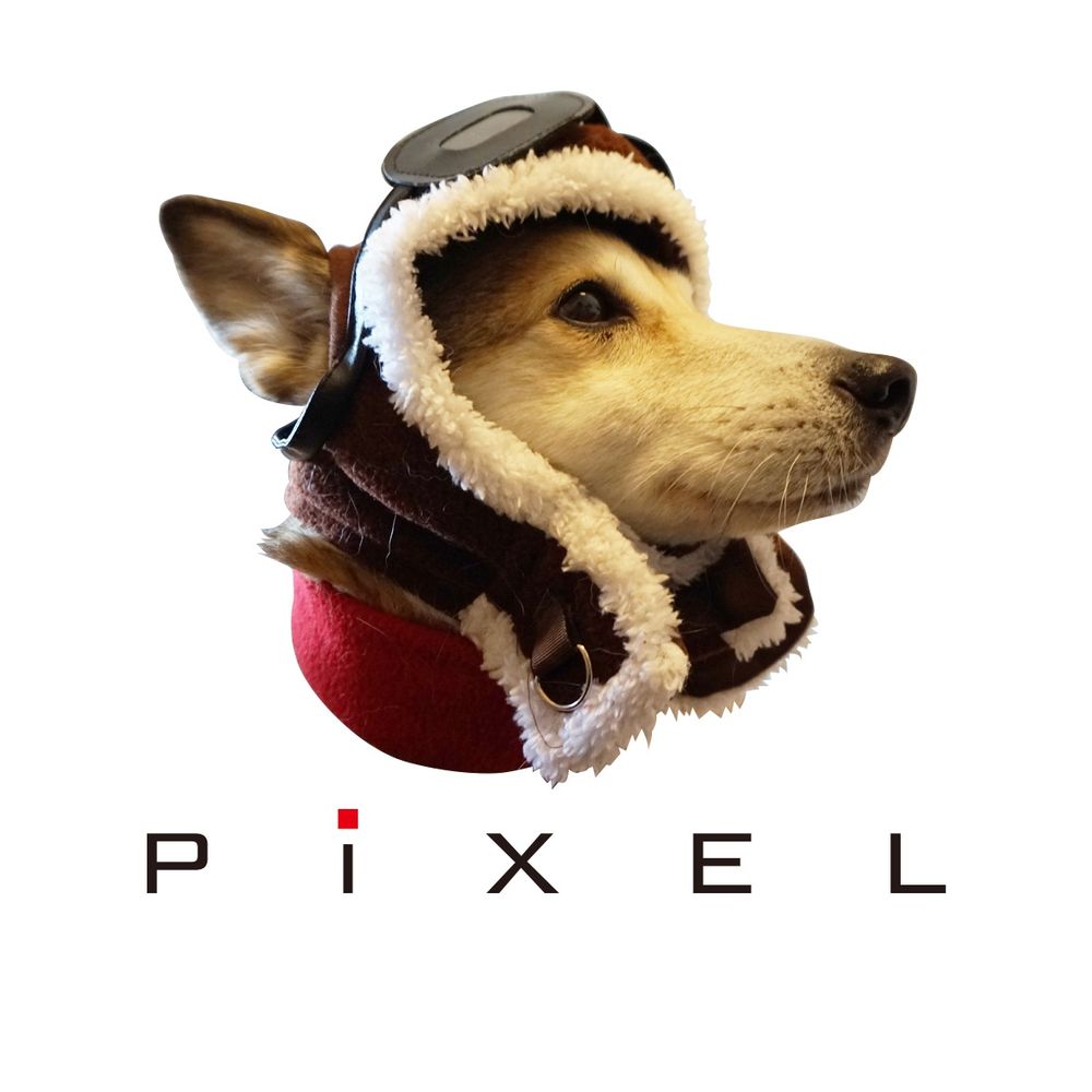 PiXEL(ピクセル)公式