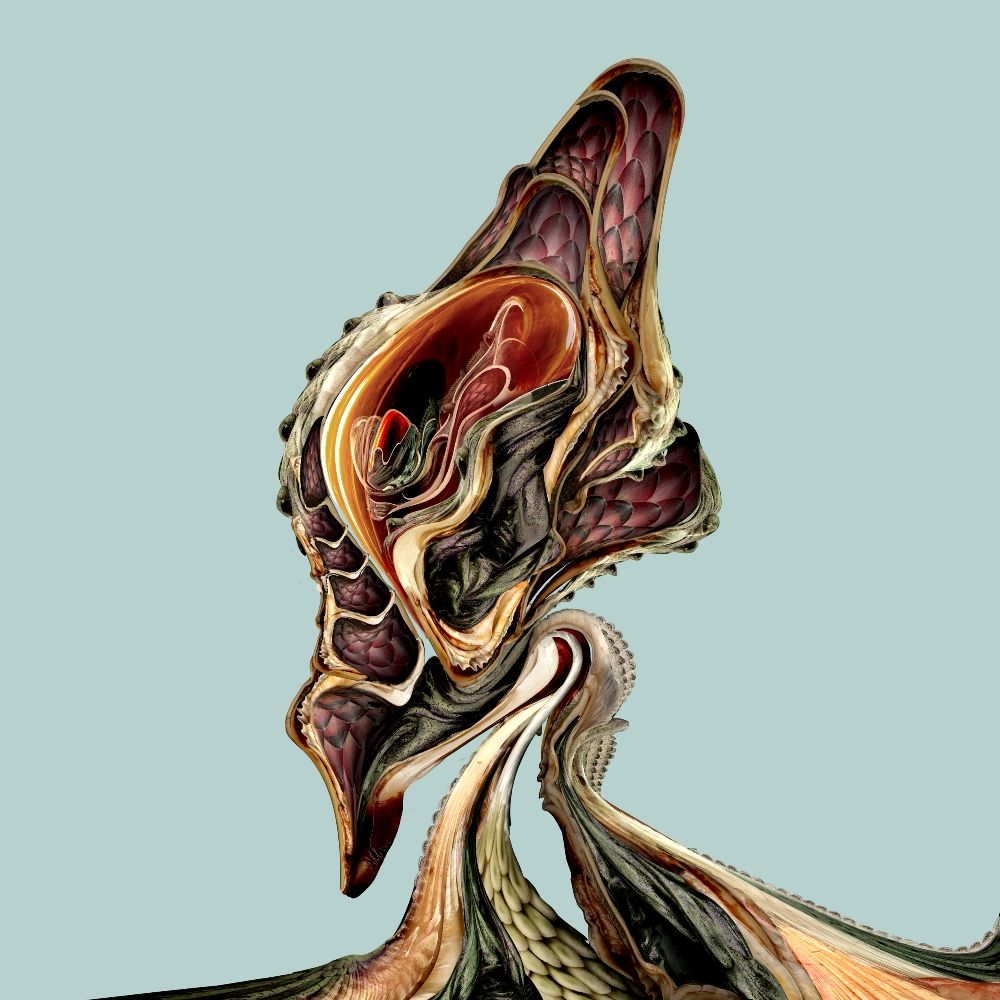 Bola