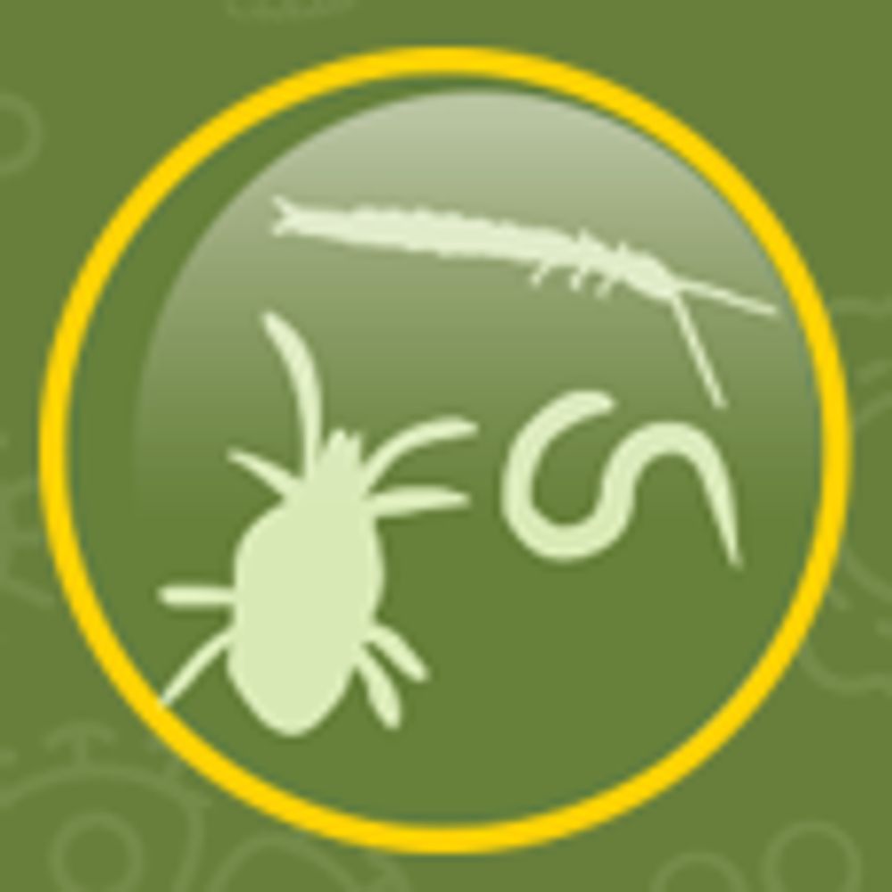 Global Soil Biodiversity Conference 2026