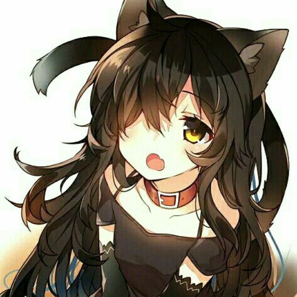 如月ノア