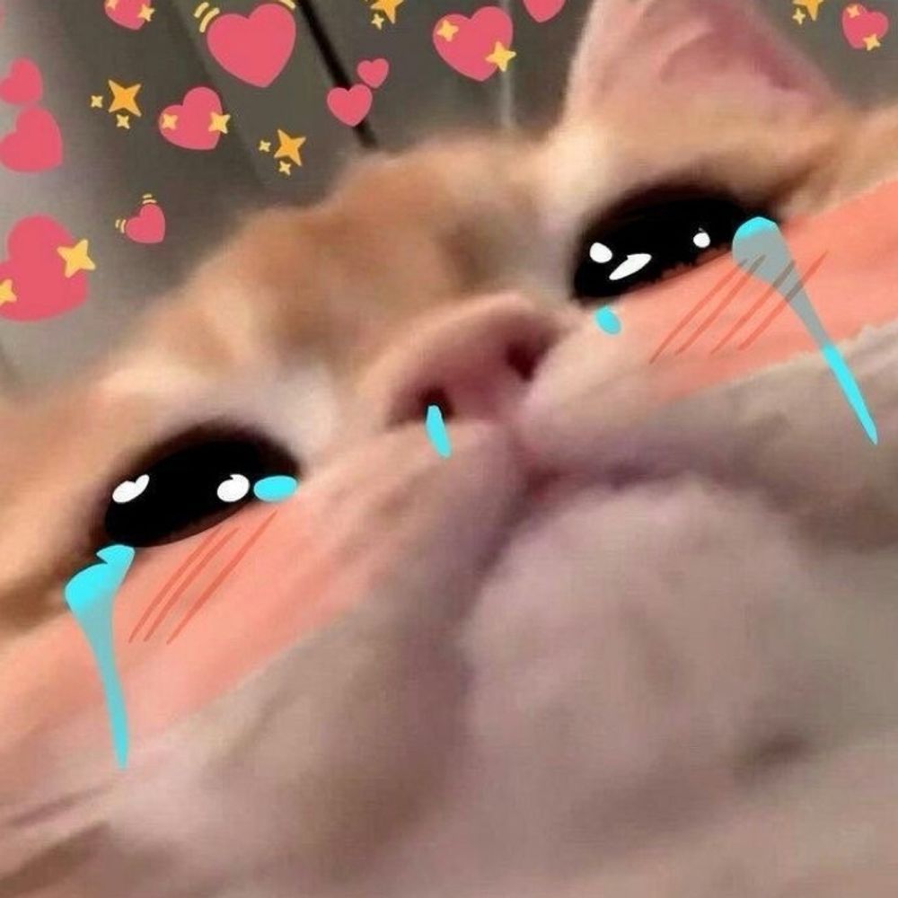 ตอแจ๋ง ｡•‿•｡
