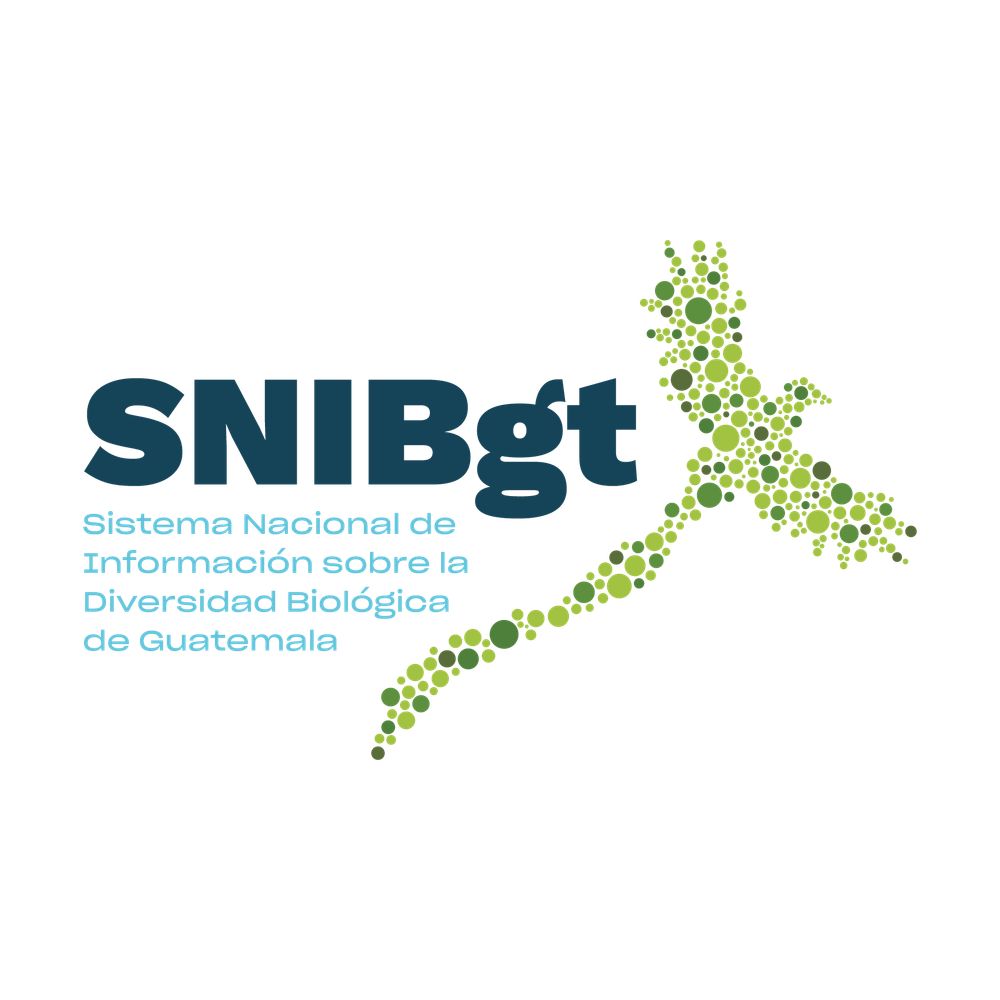 SNIBgt
