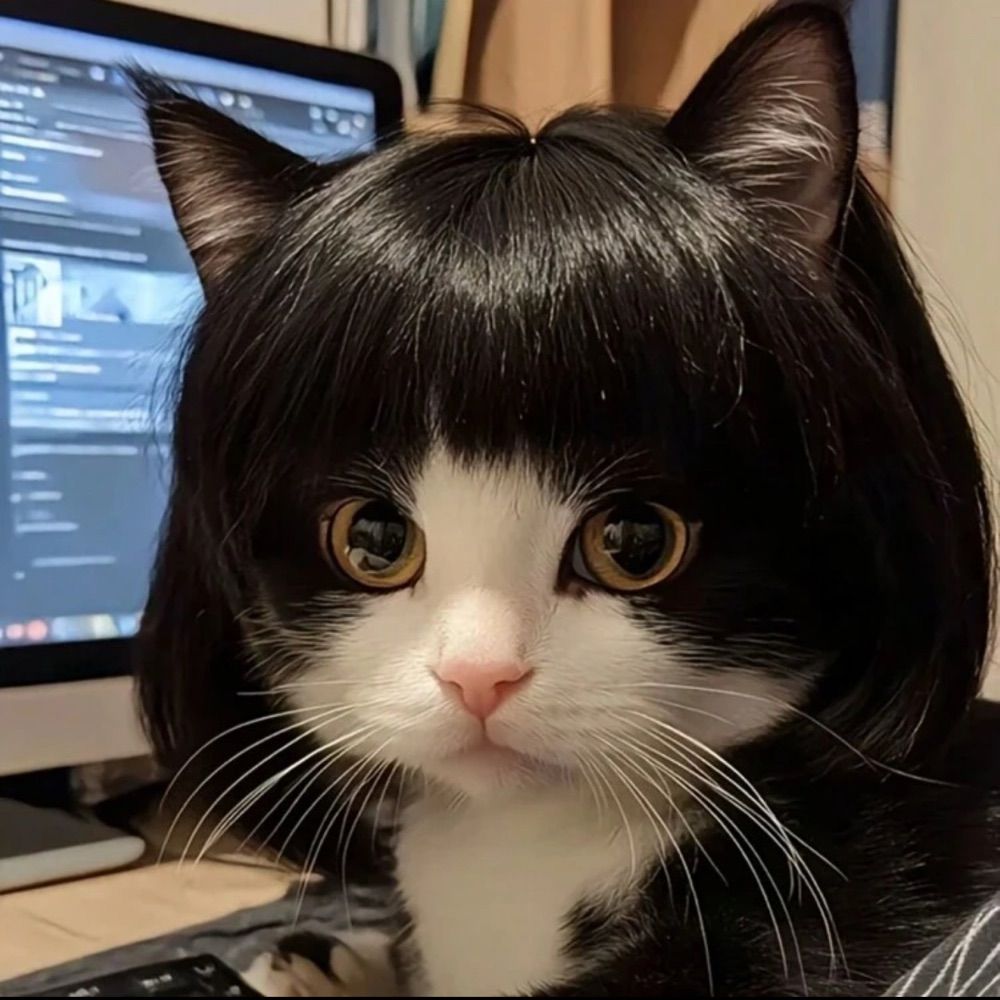 罗锁锁