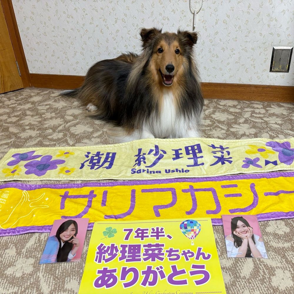 みくんちょ🐶