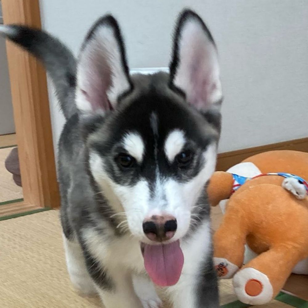 ちくたく