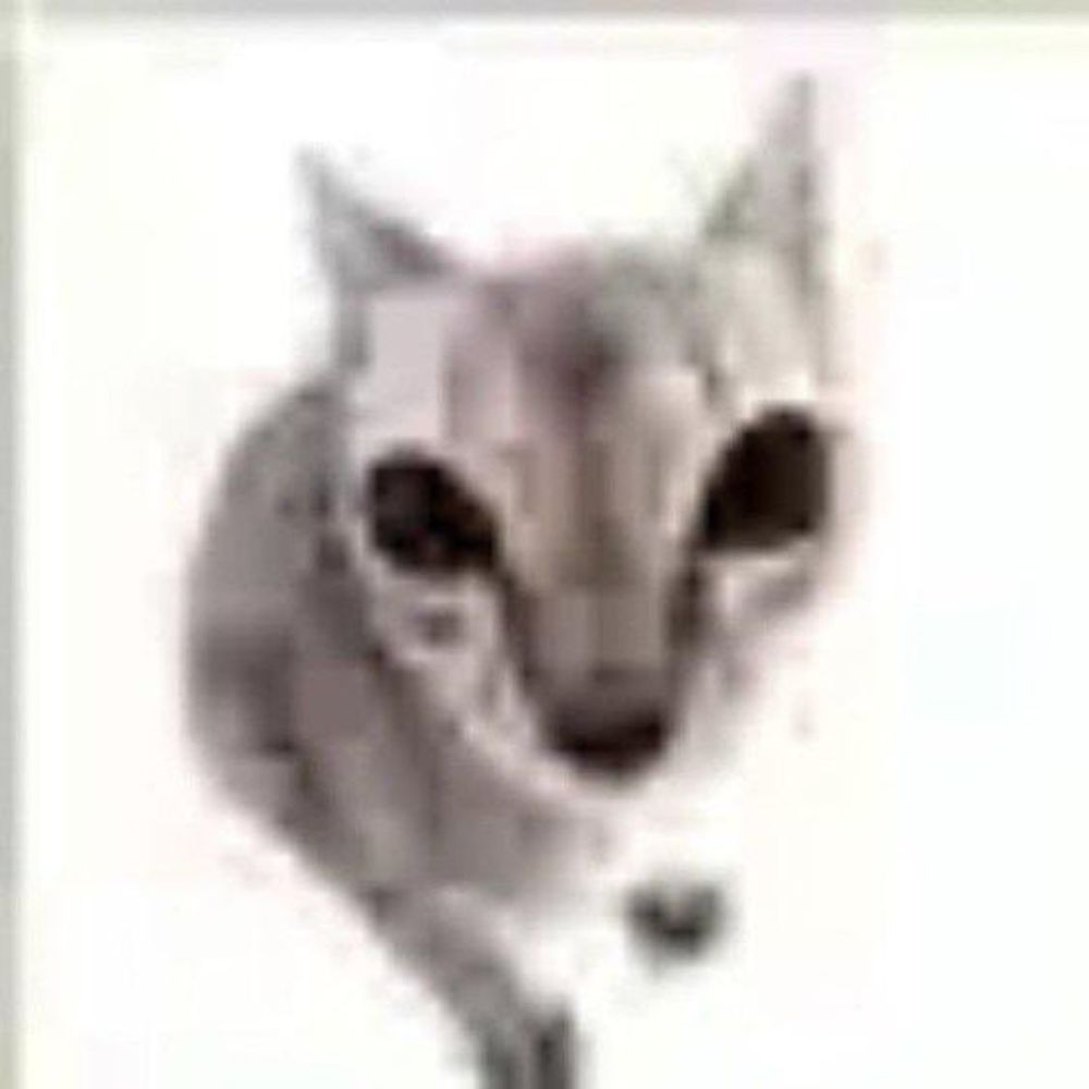 Bwinky