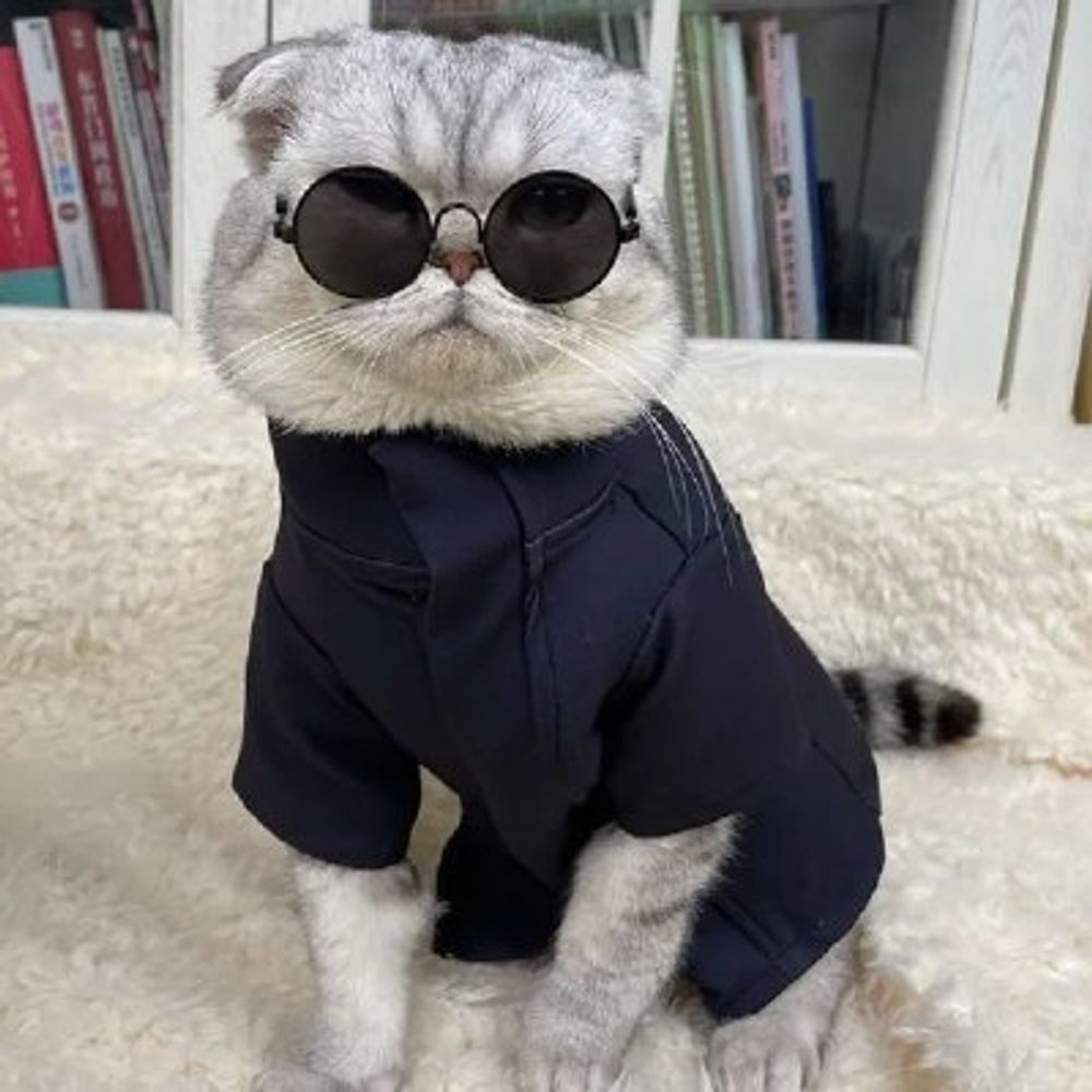 르유