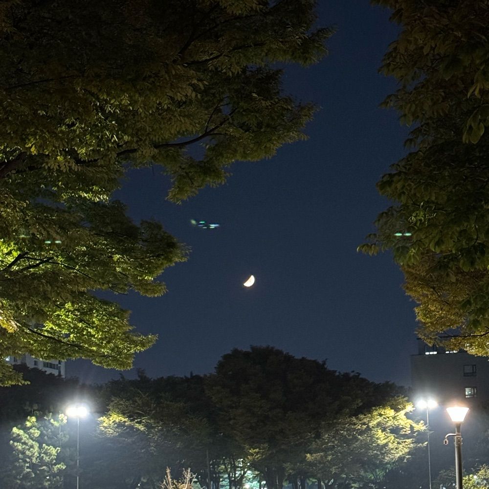 빰빠빠