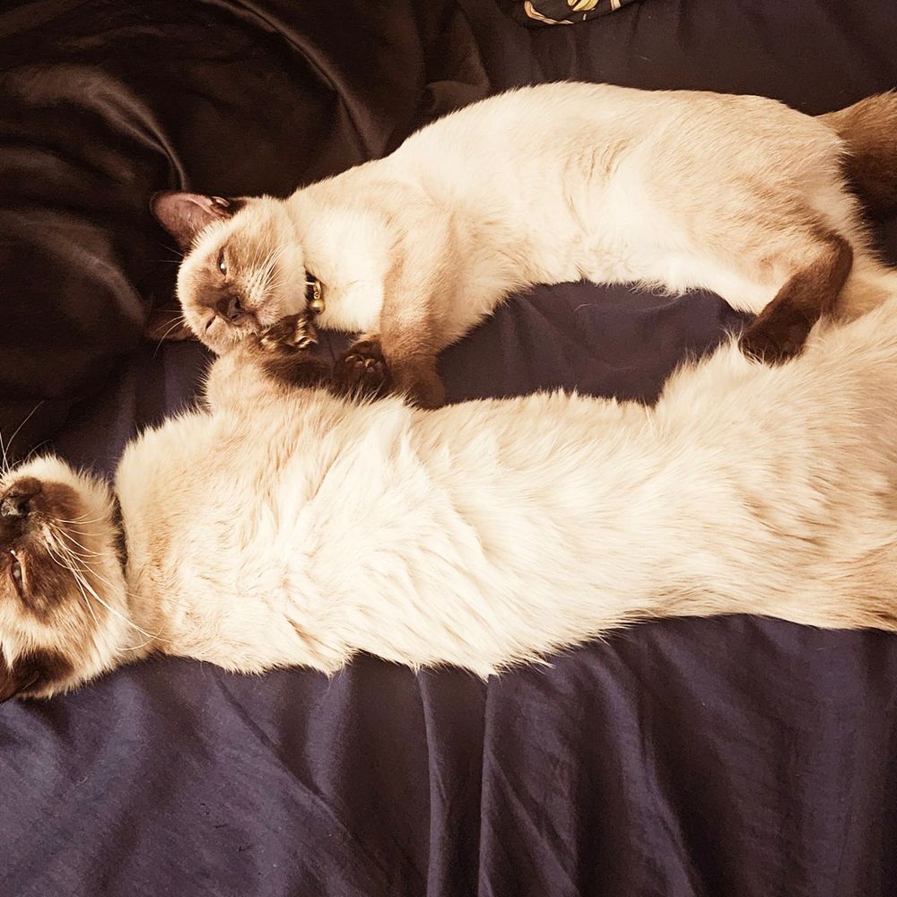 FluffyEnuff