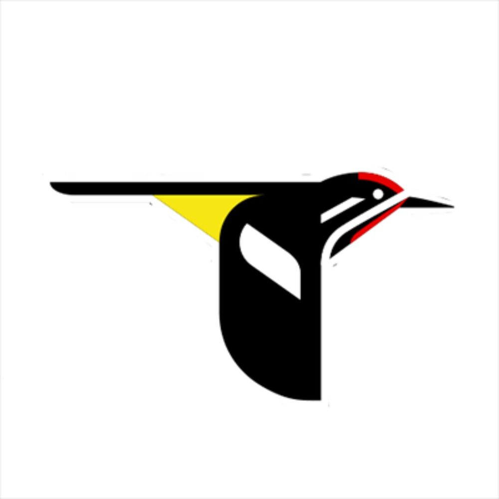 Birds of the World | The Cornell Lab's avatar