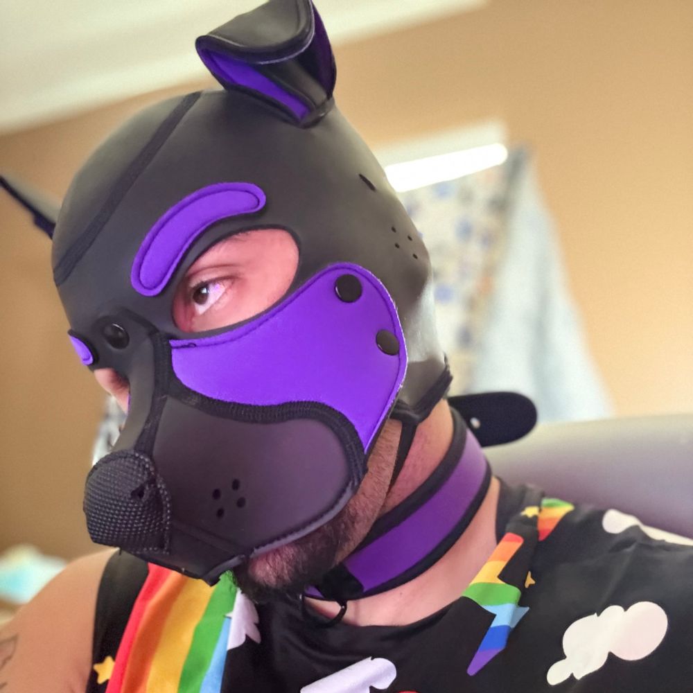 Pup_Bolt00
