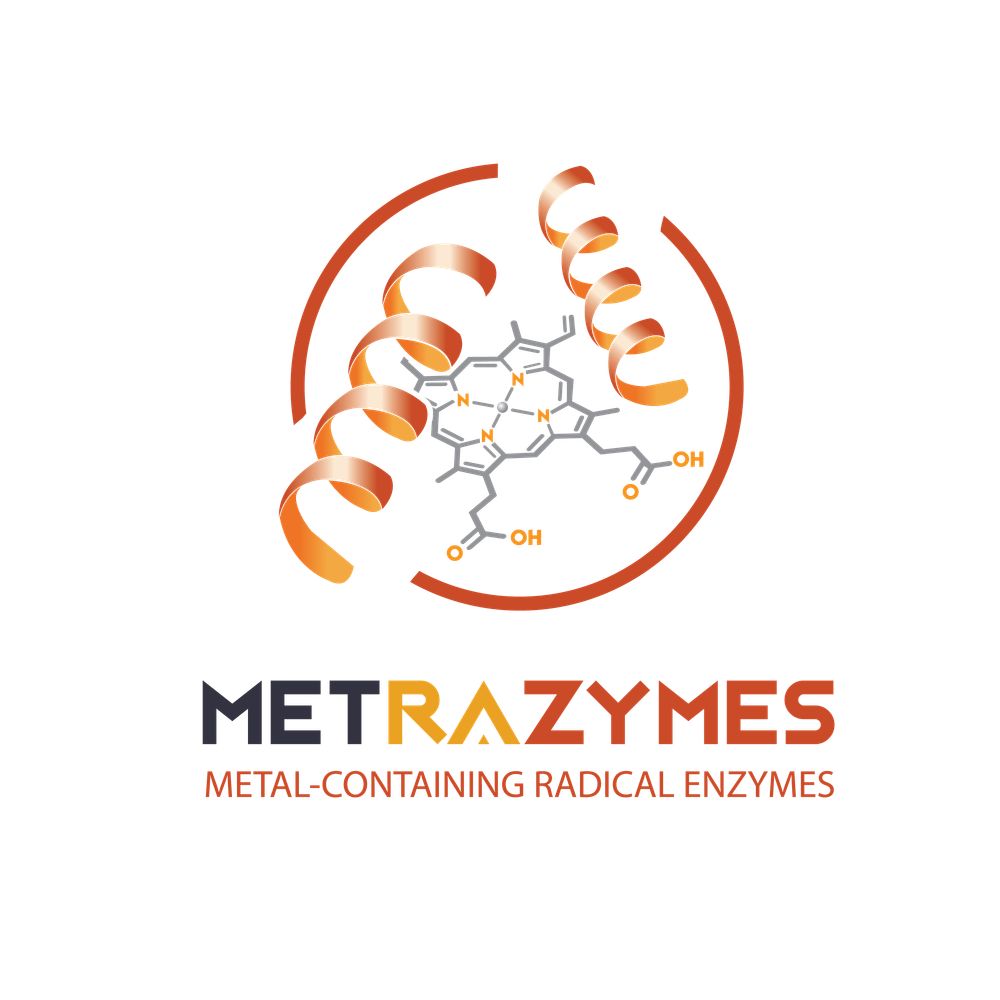 MSCA DN MetRaZymes