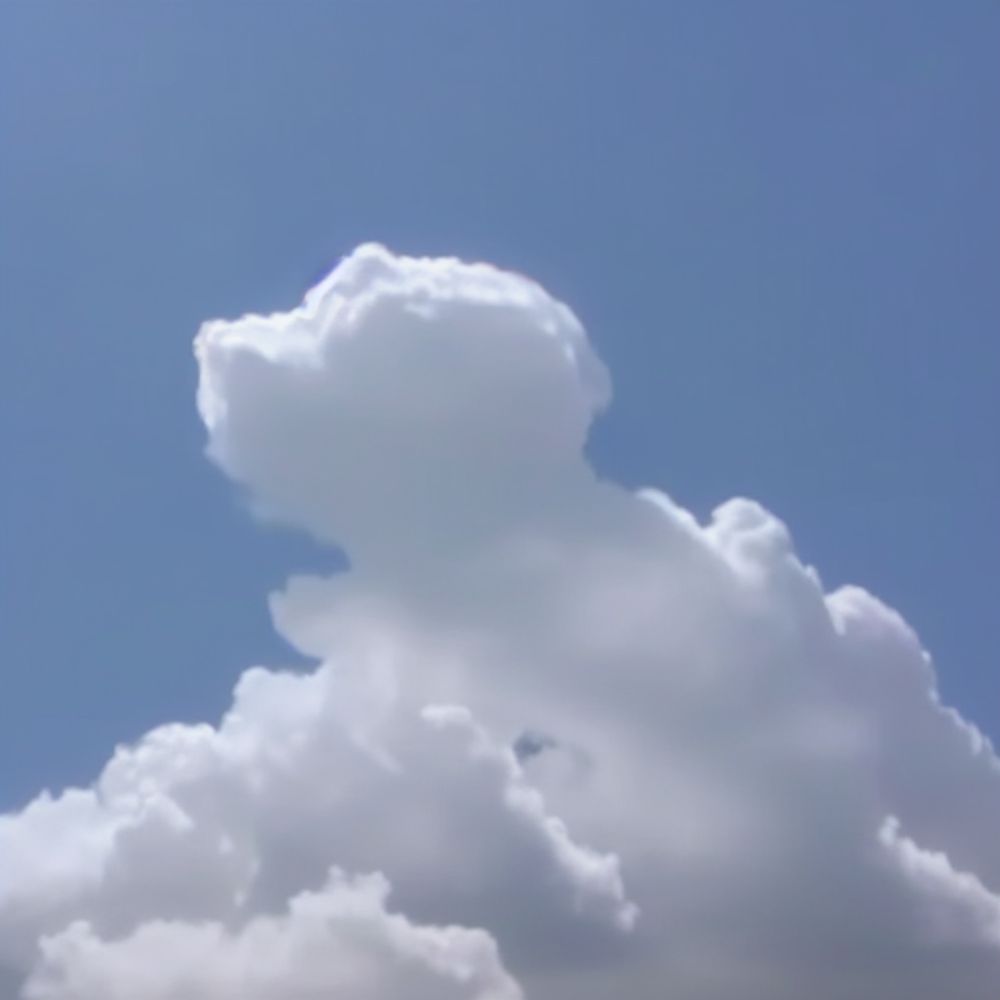 la muerte de un perrito