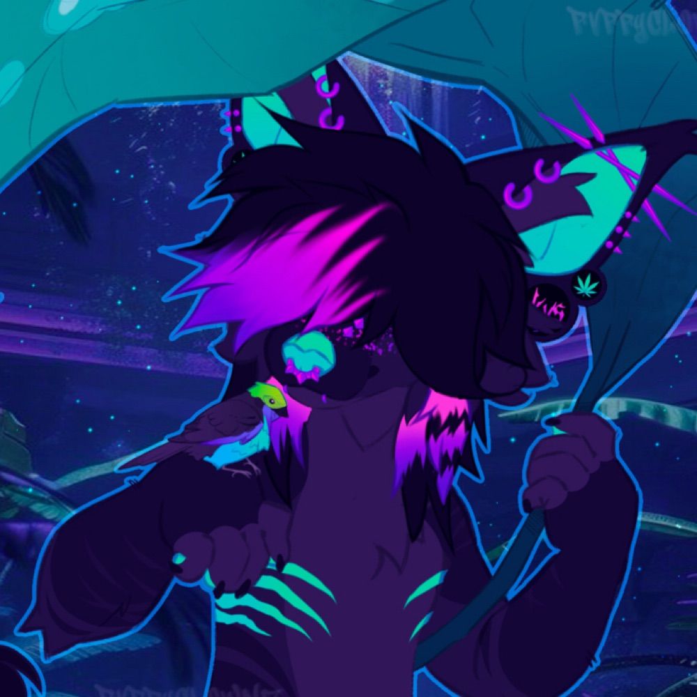 𖤐PVPPYCL0WNZ | HE/IT🍃