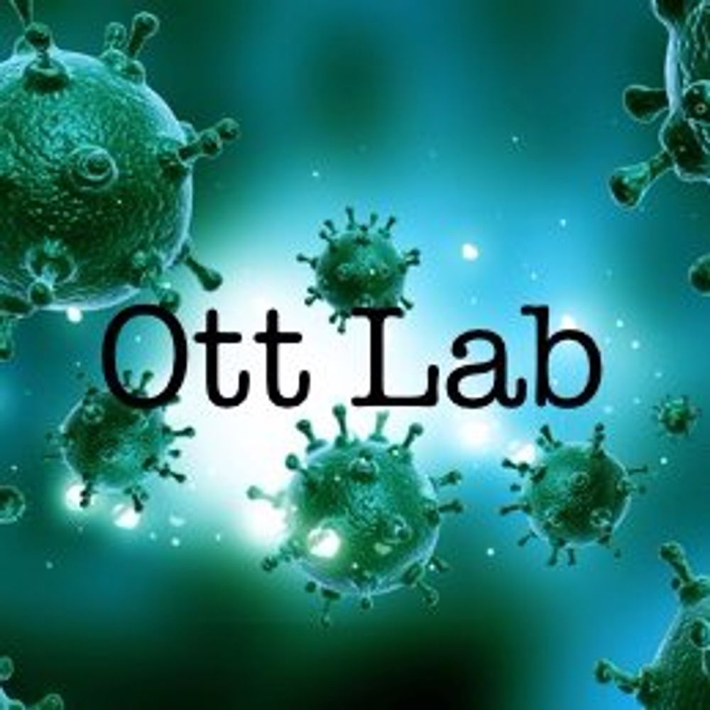 The Ott Lab