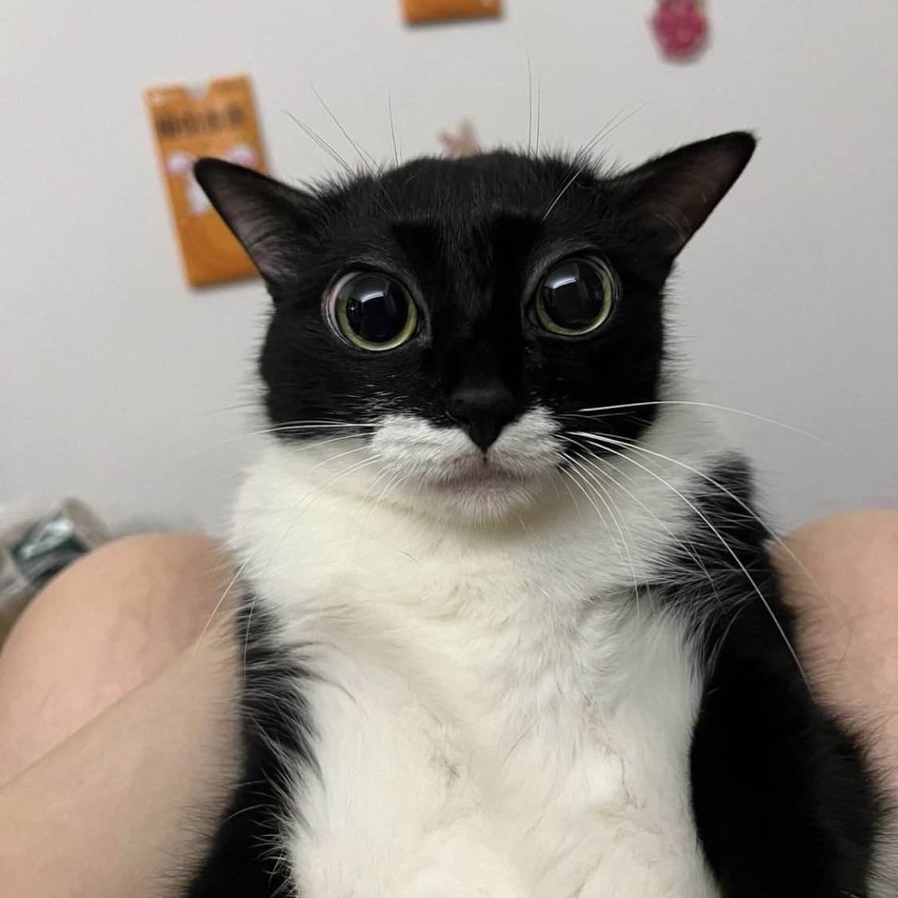 Deviledpotato