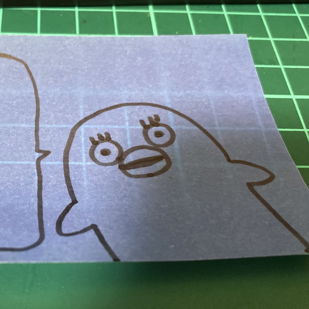 ネイト