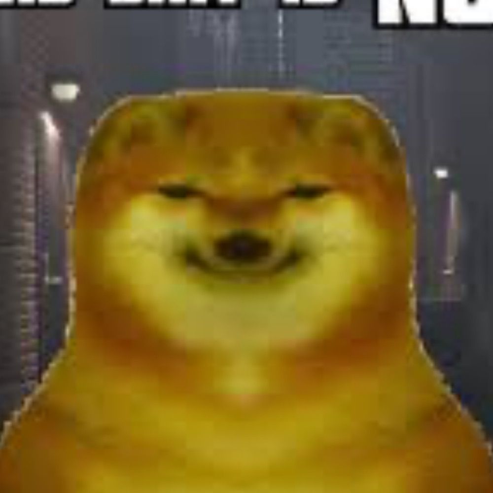 Sal (and Sys)