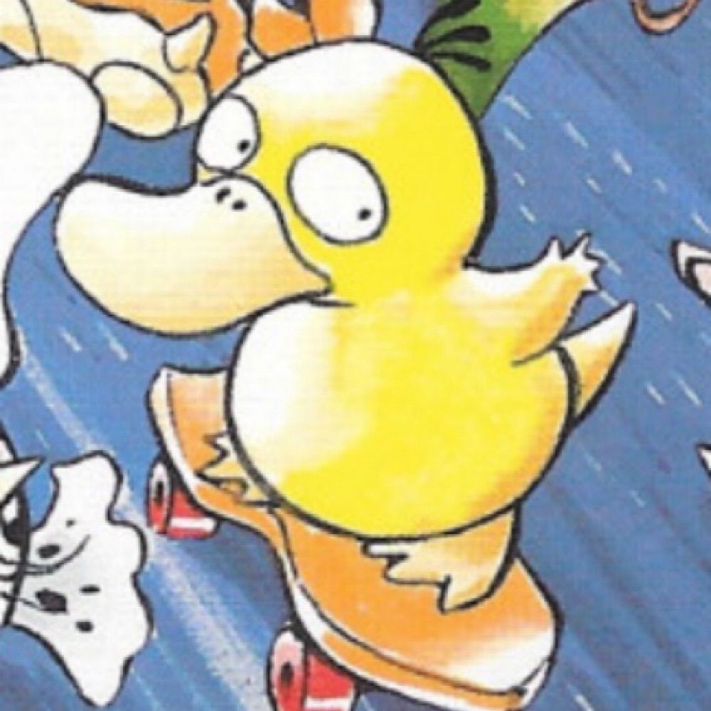 skater duck