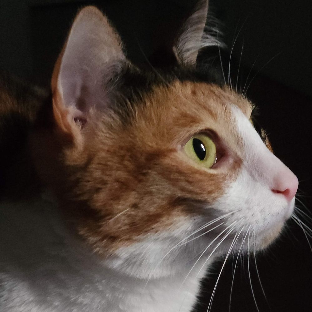 gabriel