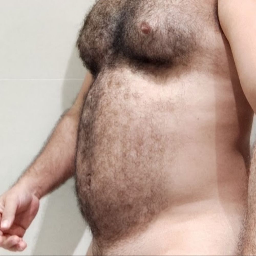 Bear Safado