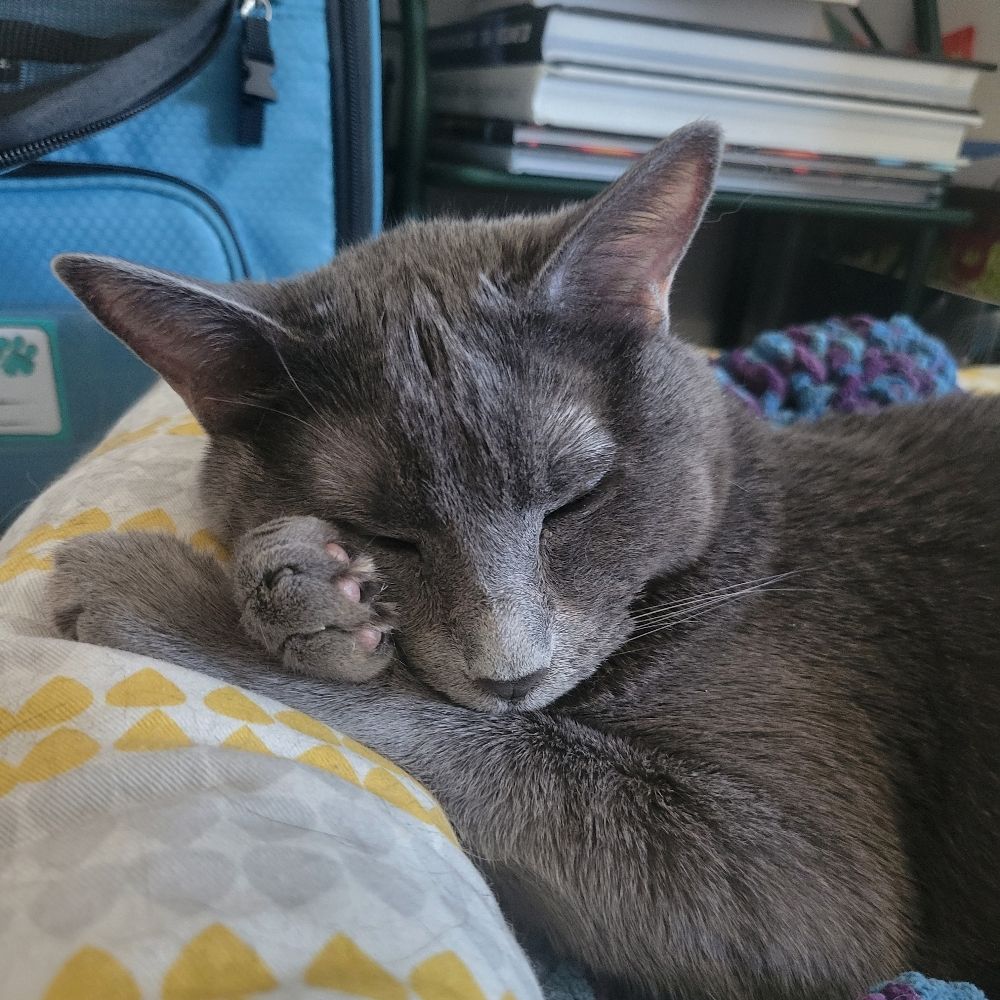 Phoebe W