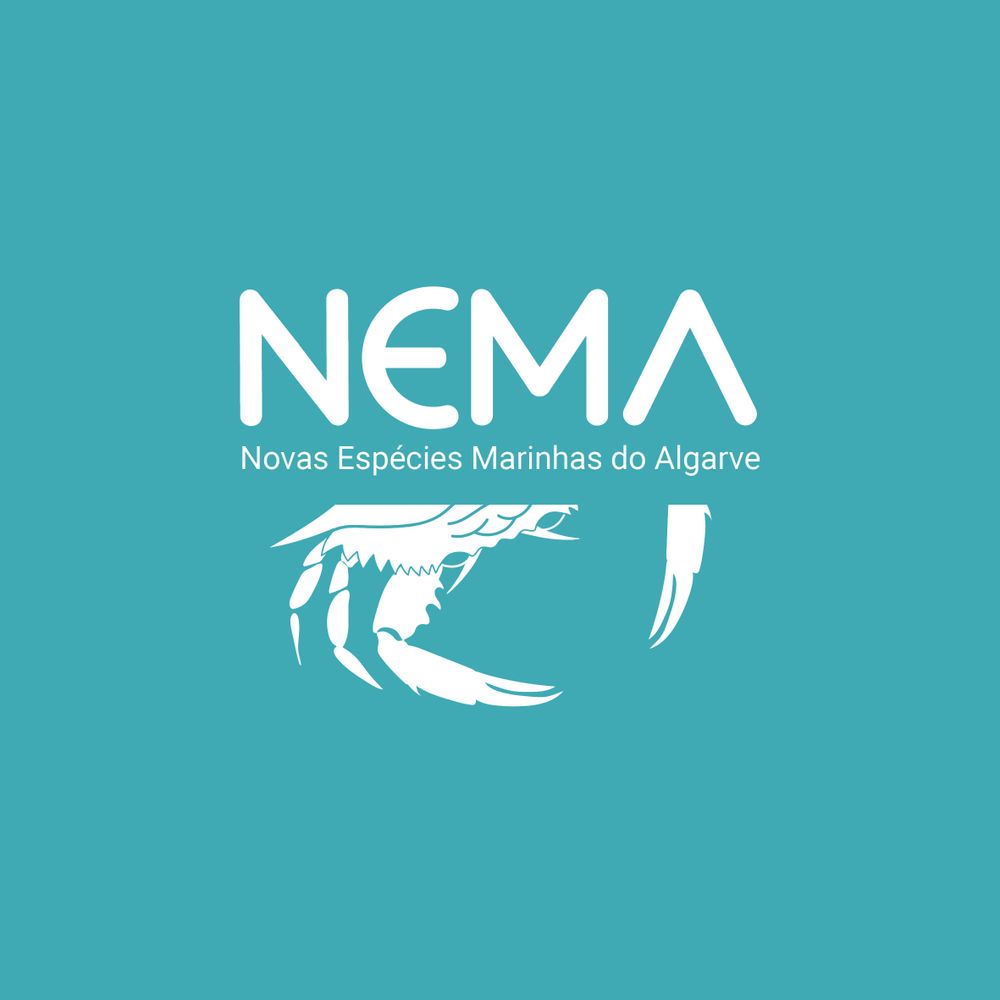 NEMA - Novas Espécies Marinhas do Algarve