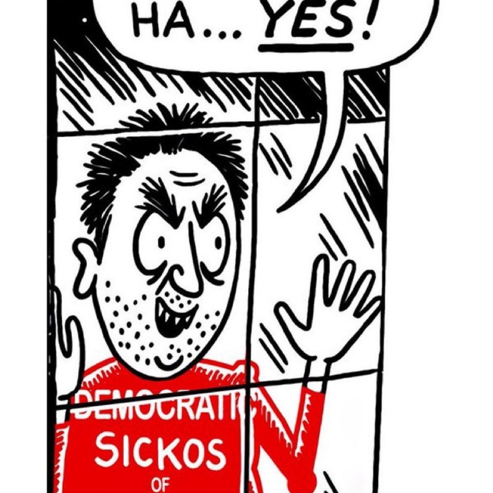 Skyebee