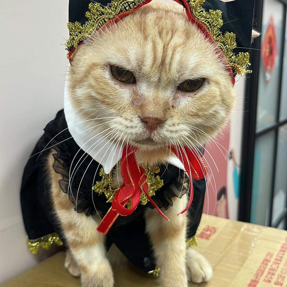 Mao