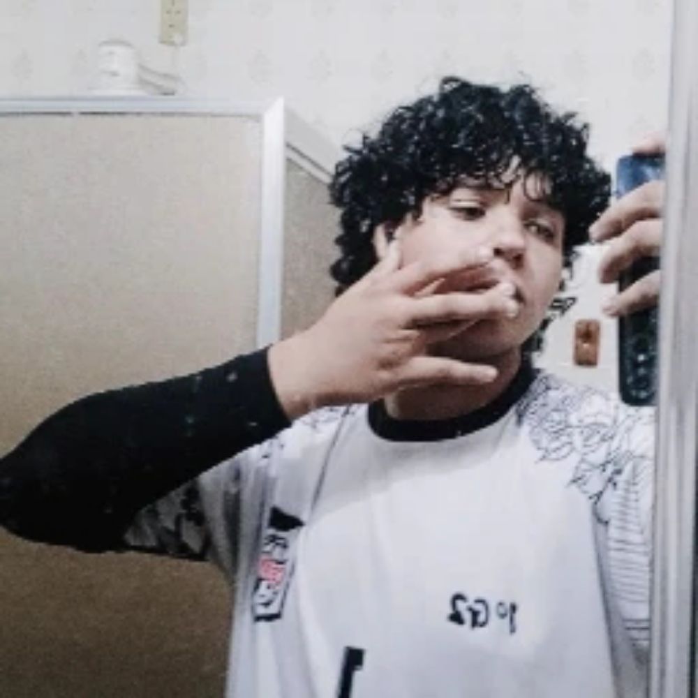 naldinn sem t