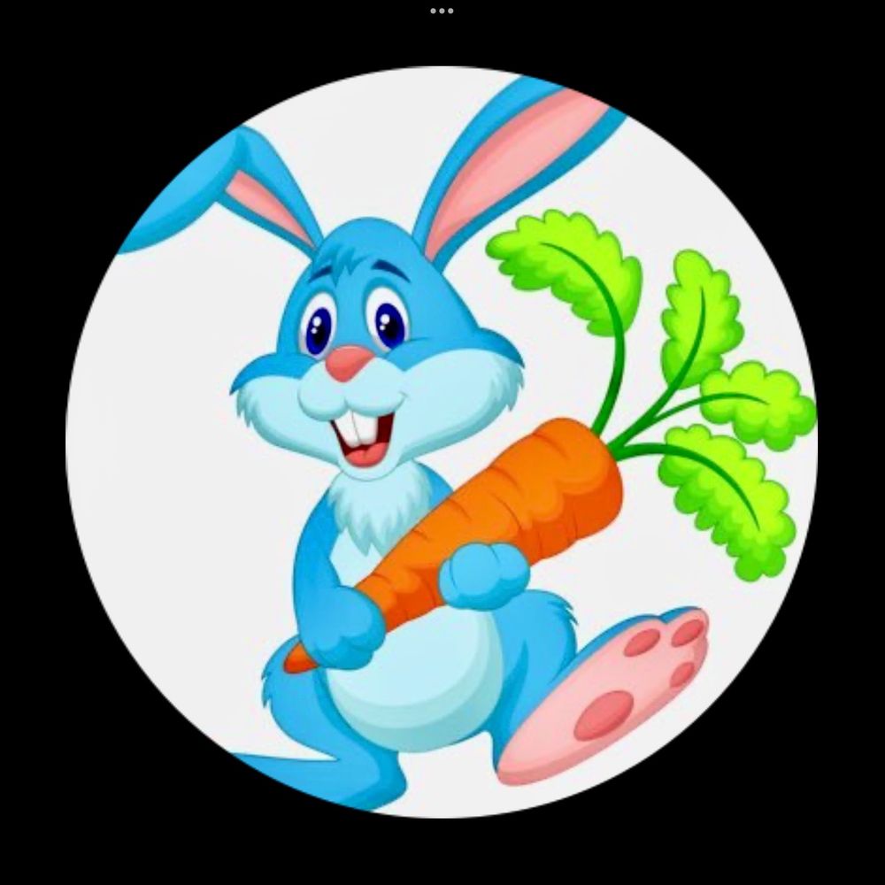 🦋 CarrotLisa  ♾️'s avatar