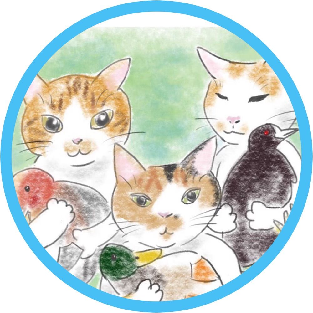 みけち