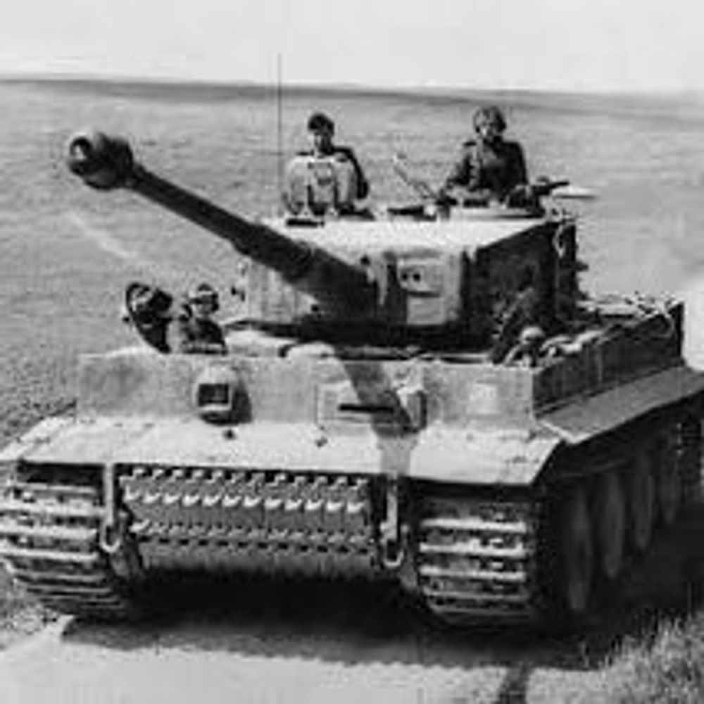 tiger2