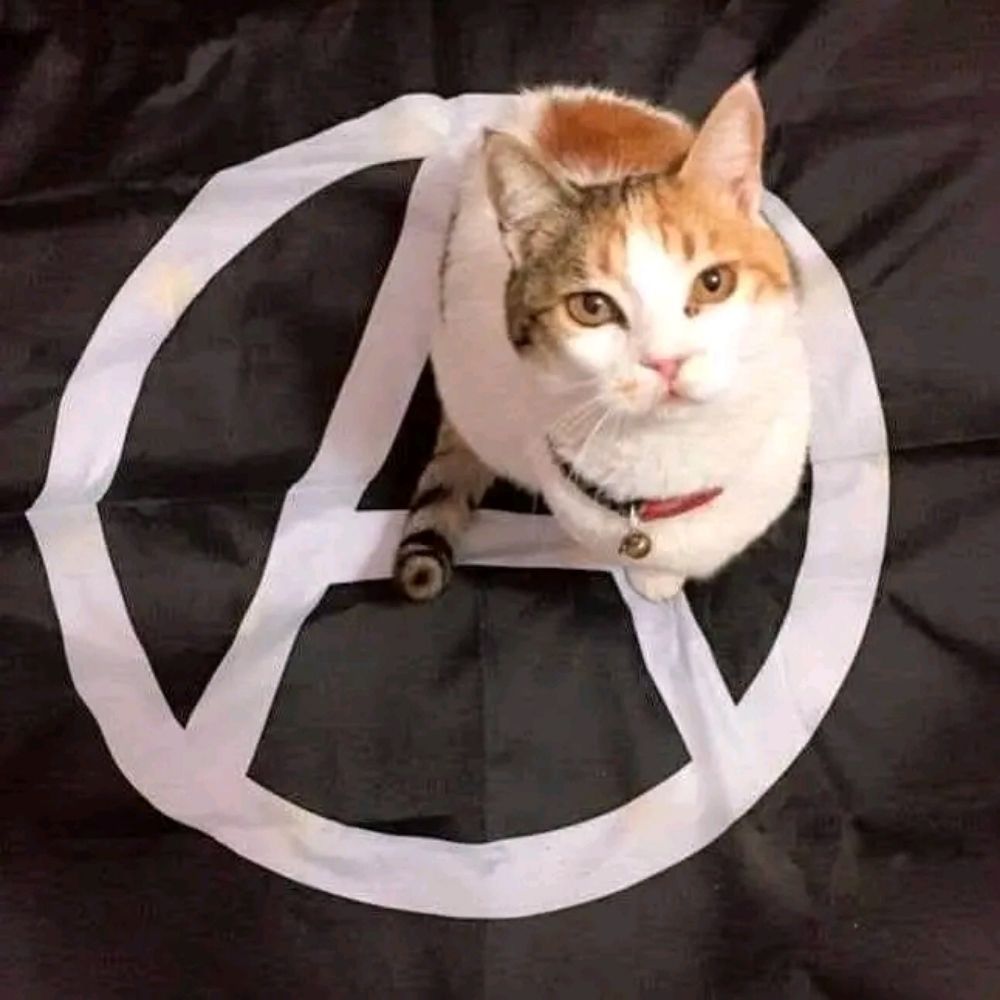 Anarcosindical Xixón