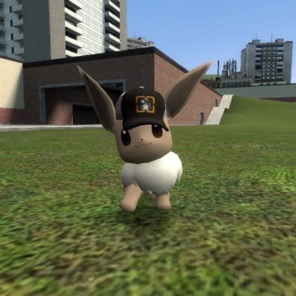 Coin the Eevee