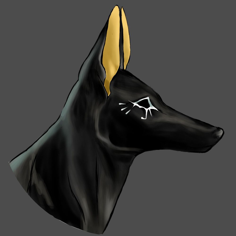 48JACKAL