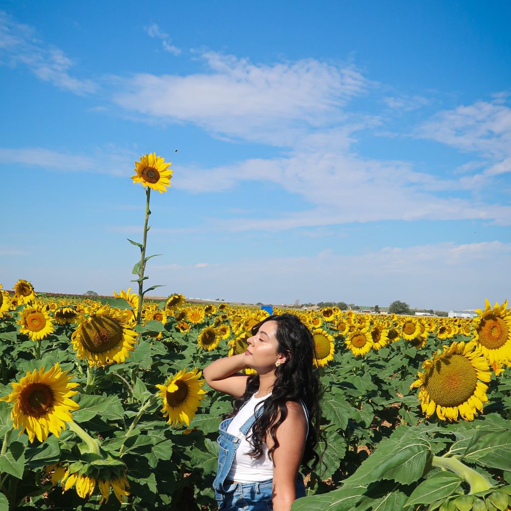 🌻