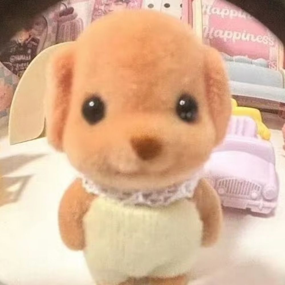 緹ㄊㄊ◤•͈ᴥ•͈◥ ୭