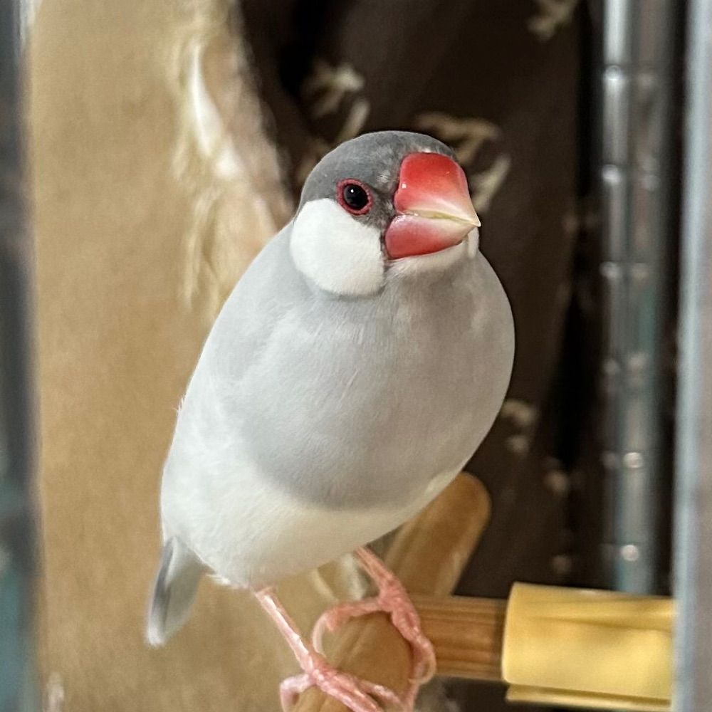 タロウ