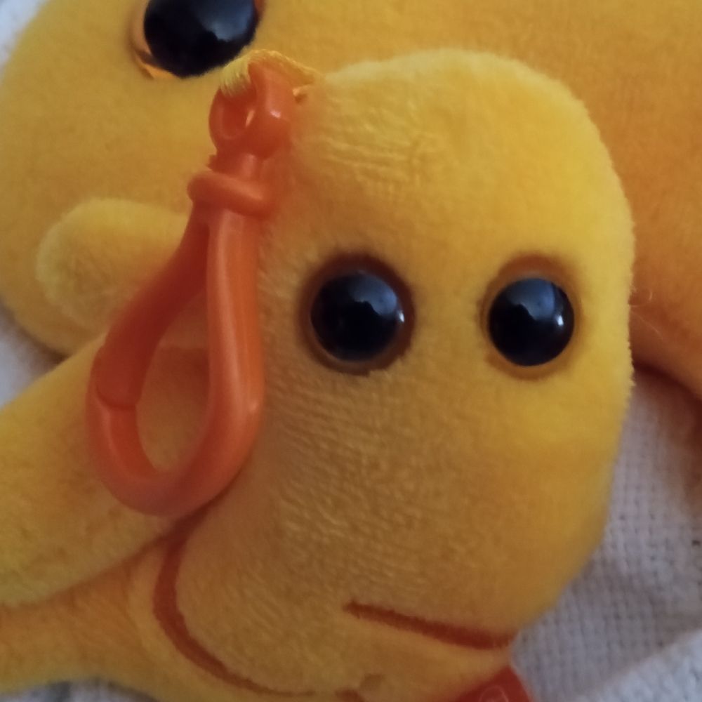 Samuel The Stomach