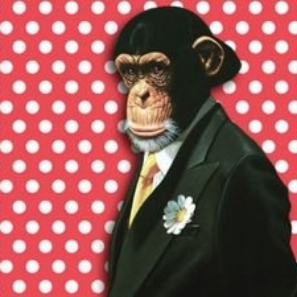 Marc Arriaga