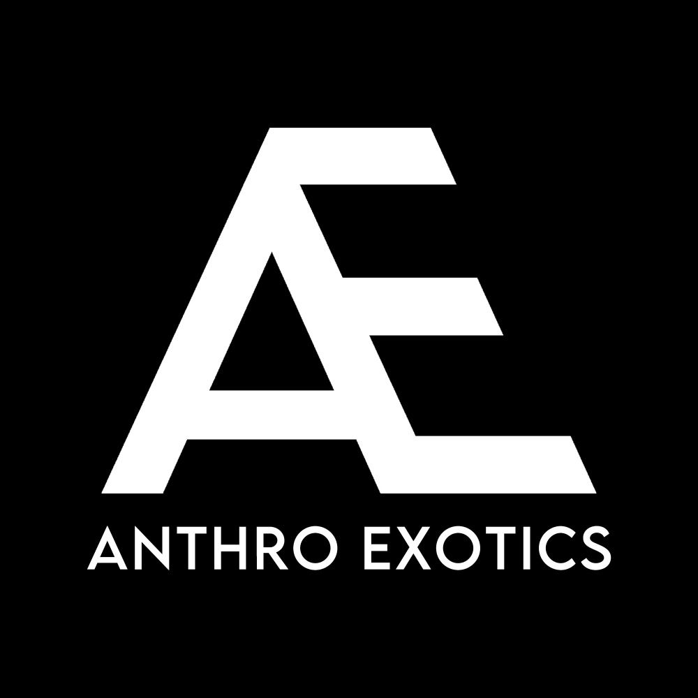 Anthro Exotics 🐾