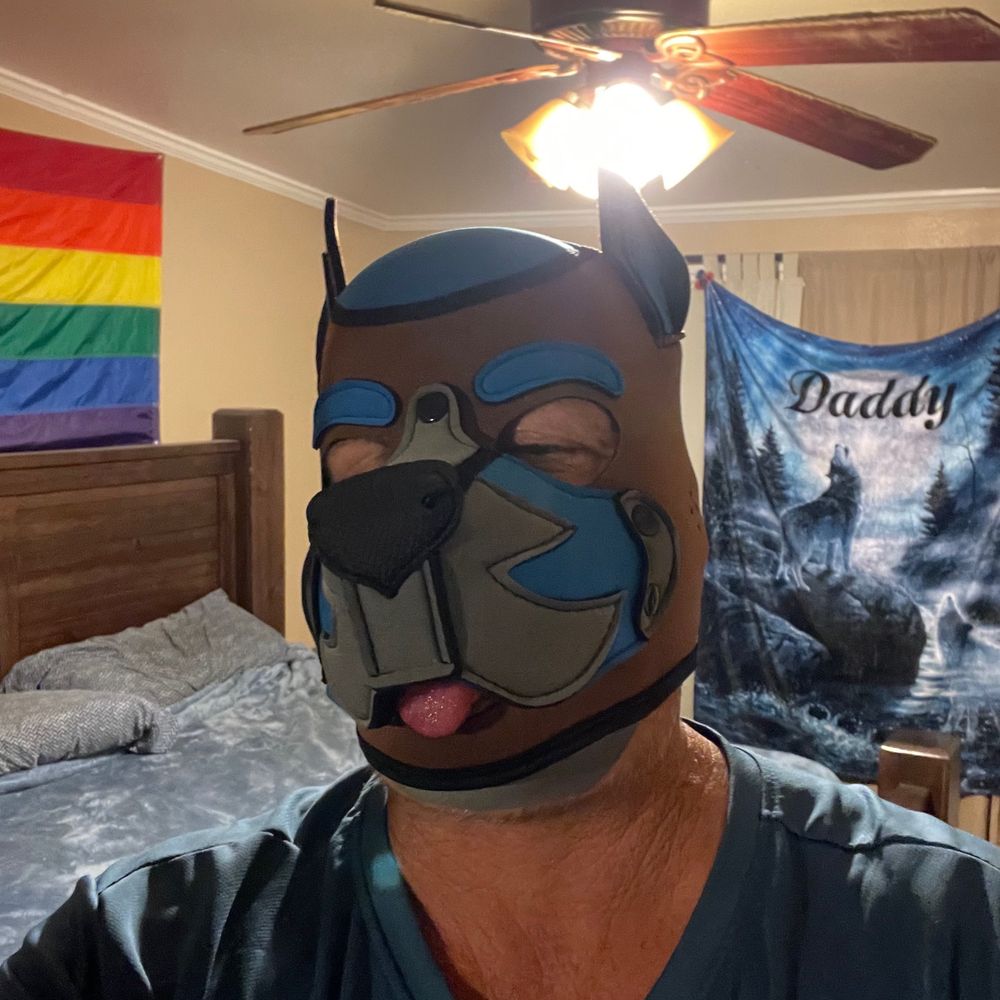 Pupdaddy