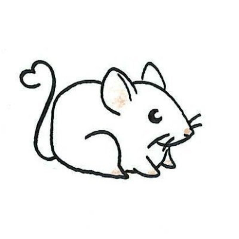 Heidi The History Mouse