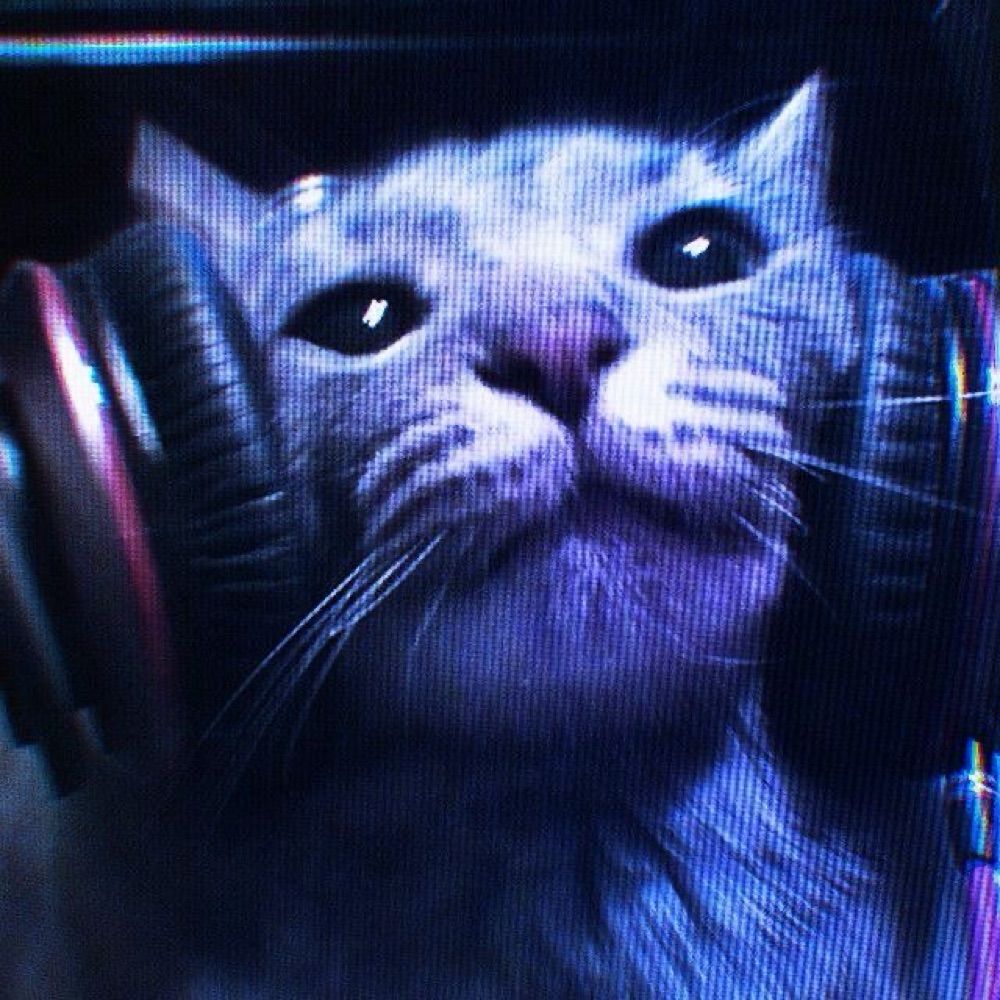Remii or Rj