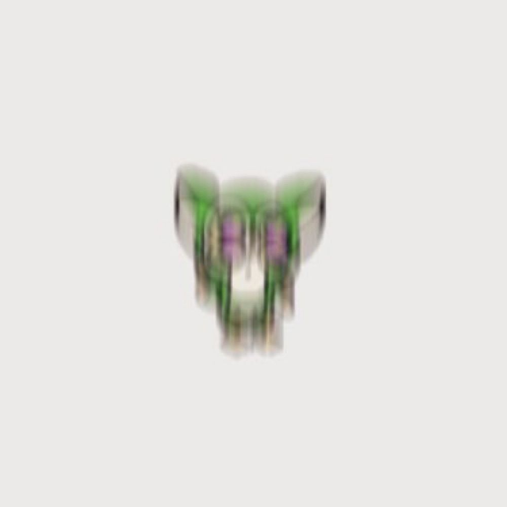 もち丸