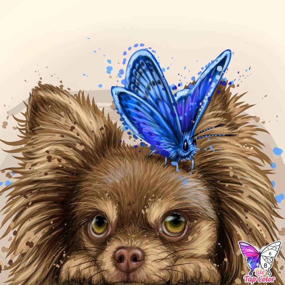 LilBit
