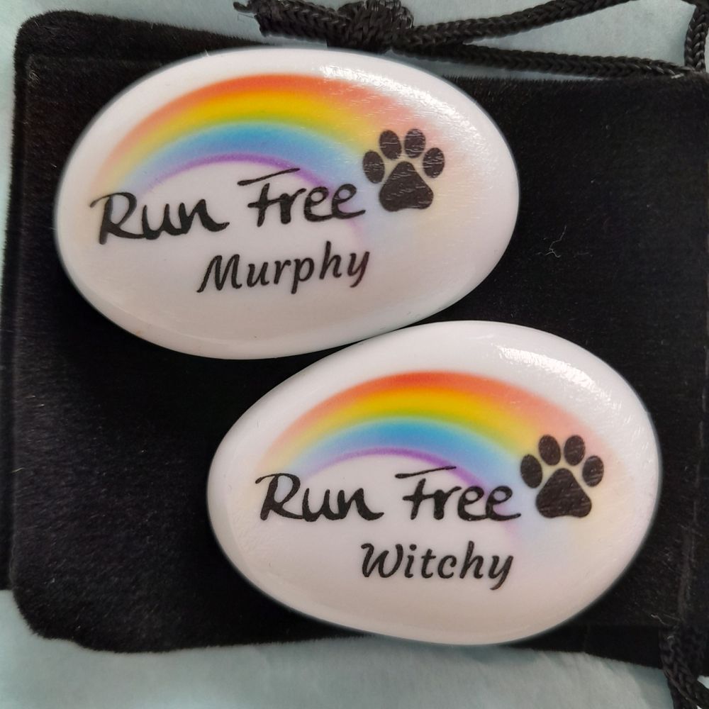 Murphy & Witchy 